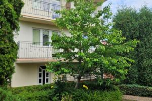 widok od strony ogrodu